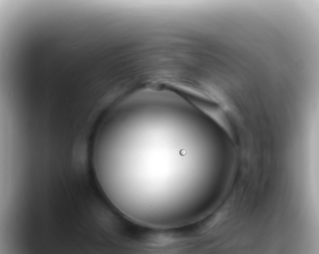 X0000088660250200706011245