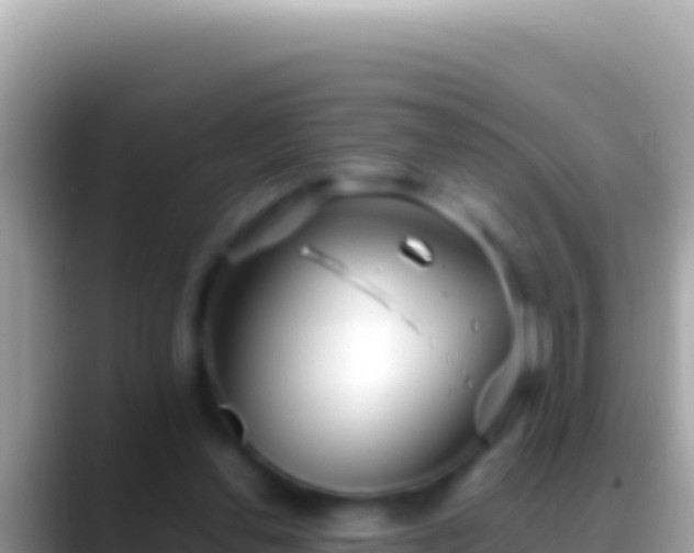 X0000088660252200706011245