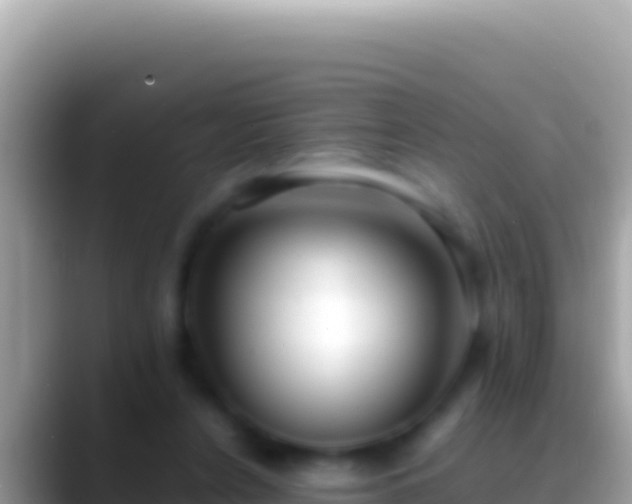 X0000088660256200706011245