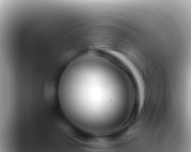 X0000088660260200706011245