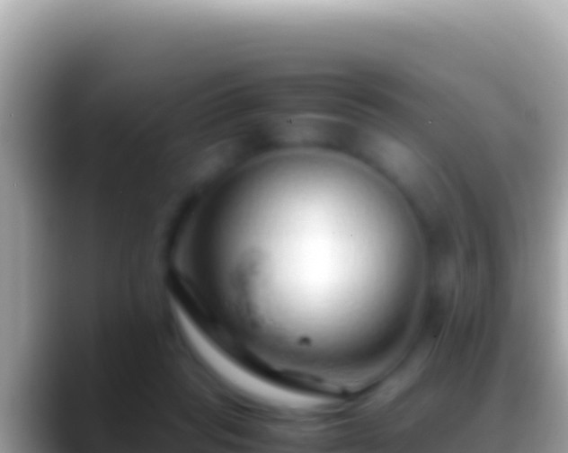 X0000088660261200706011245