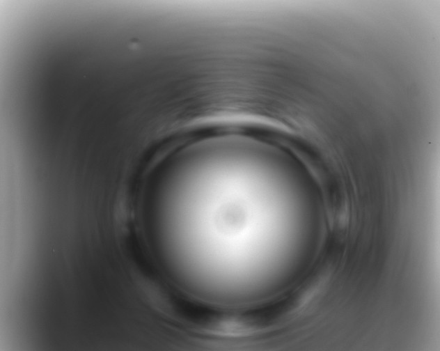 X0000088660264200706011245