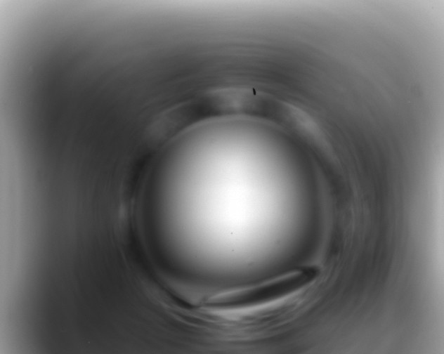 X0000088660265200706011245