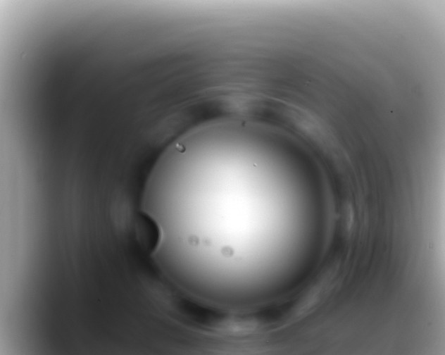 X0000088660270200706011245