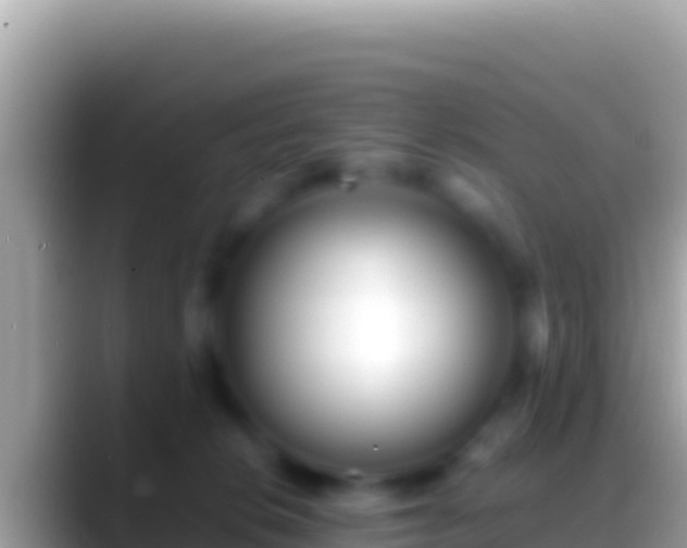 X0000088660276200706011245