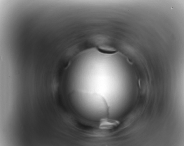 X0000088660279200706011245