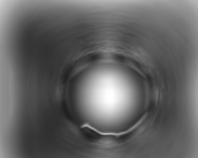 X0000088660280200706011245