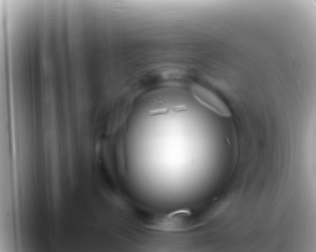 X0000088660288200706011245