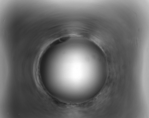 X0000088660289200706011245