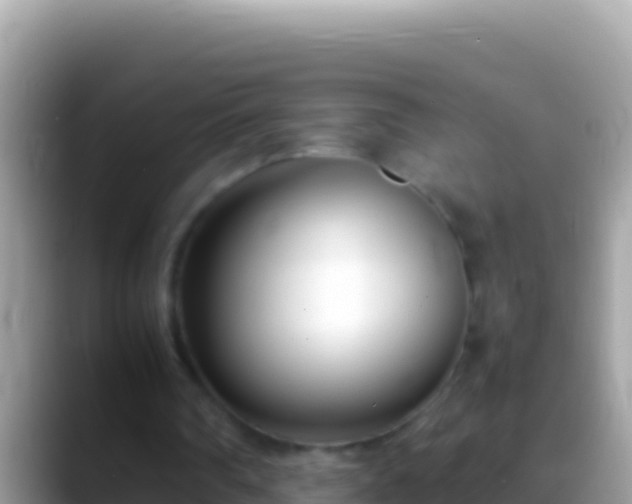 X0000088660290200706011245