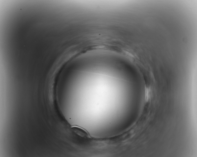 X0000088660291200706011245