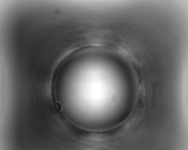 X0000088660292200706011245