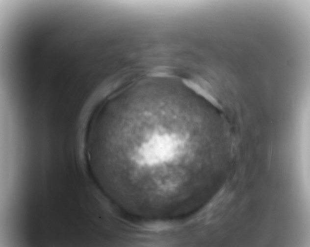 X0000088660293200706011245