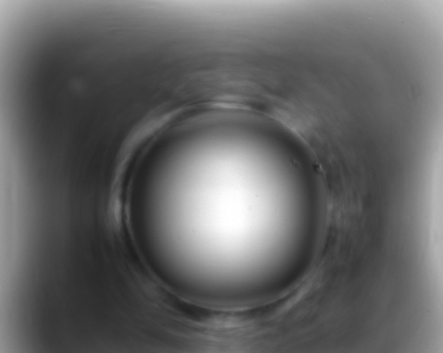 X0000088660294200706011245