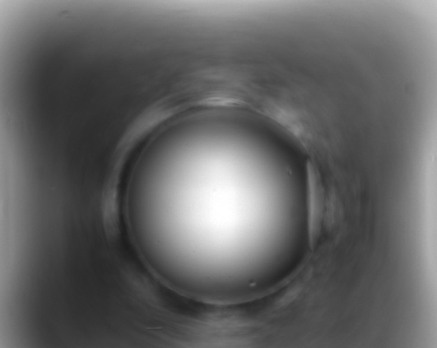 X0000088660296200706011245