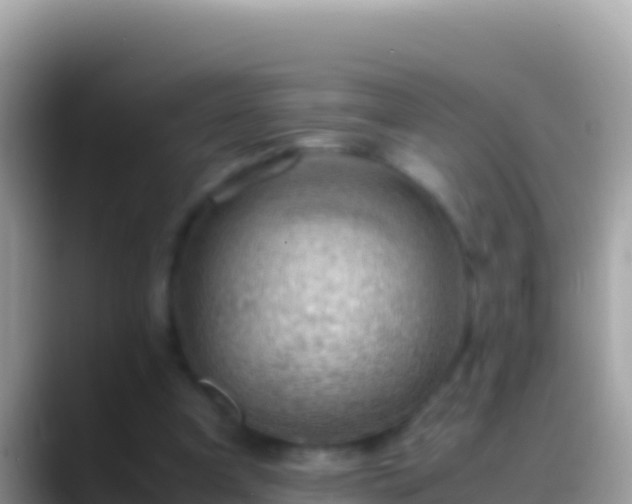 X0000088660297200706011244