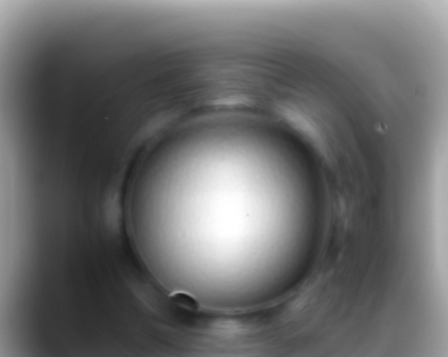 X0000088660298200706011244