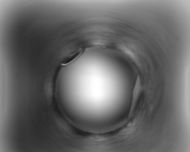 X0000088660299200706011244