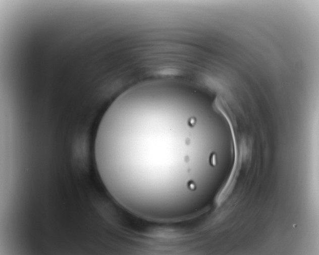 X0000088660300200706011244