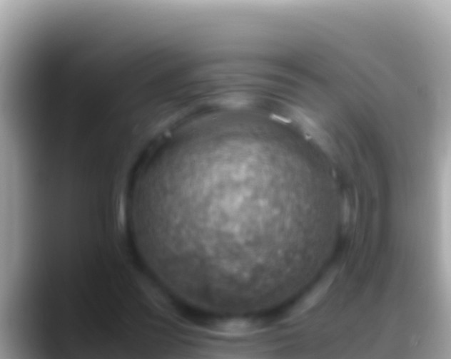 X0000088660301200706011244