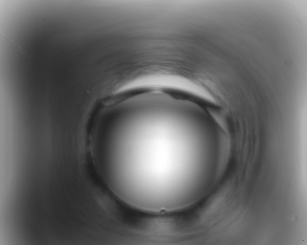 X0000088660303200706011244