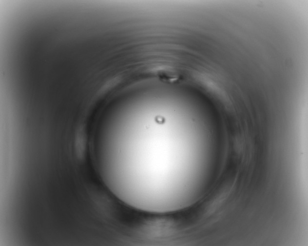 X0000088660304200706011244