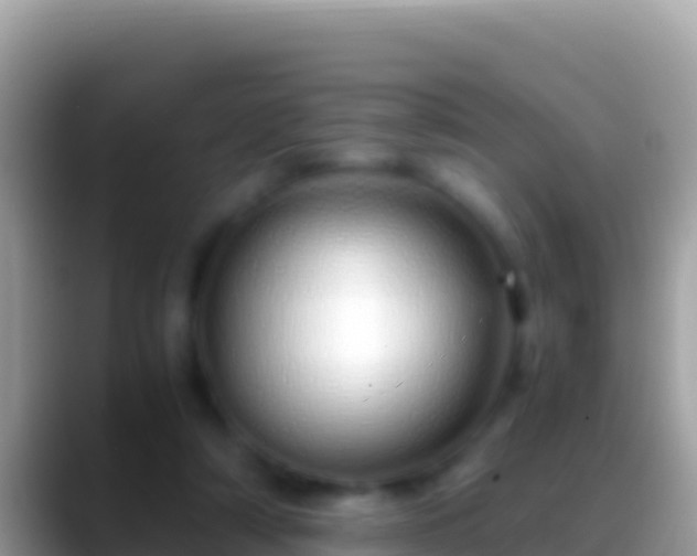 X0000088660306200706011244