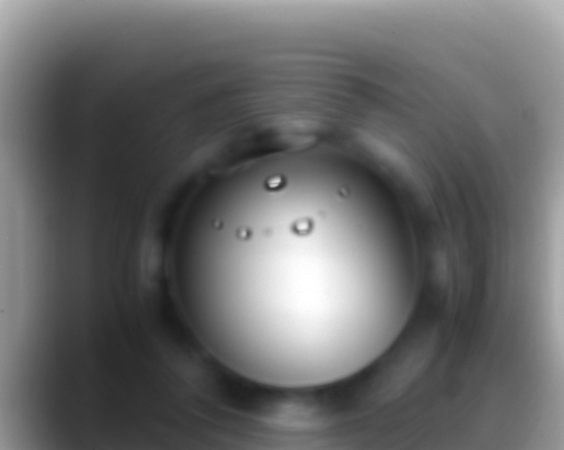 X0000088660308200706011244