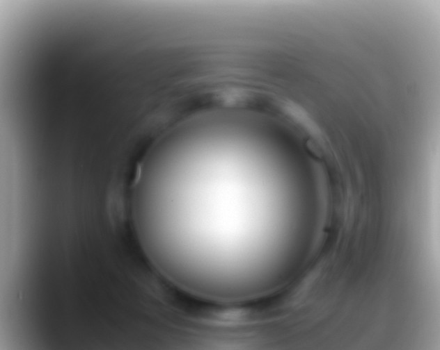 X0000088660313200706011244