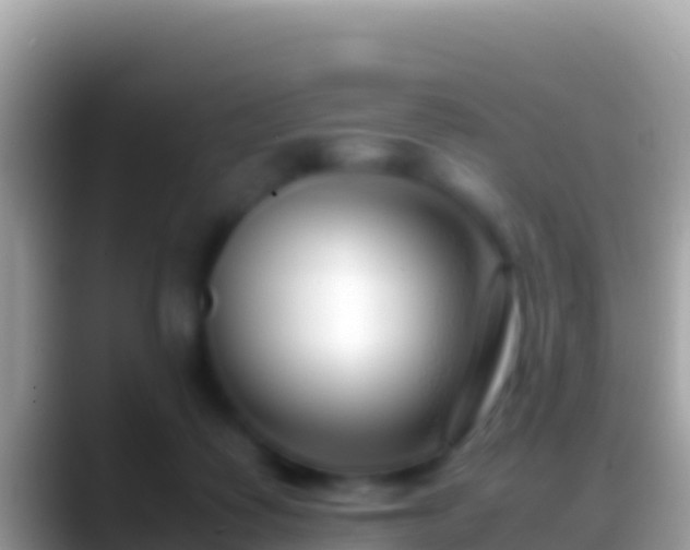 X0000088660315200706011244