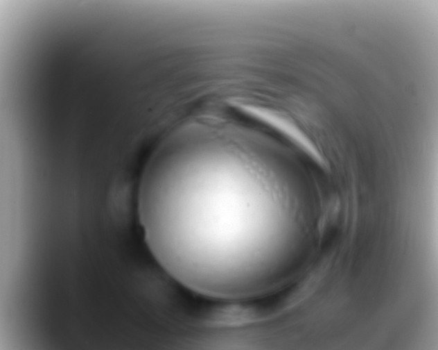 X0000088660319200706011244