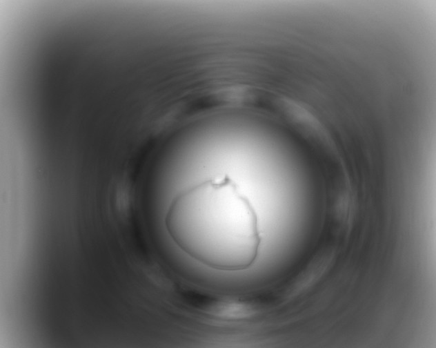 X0000088660326200706011244