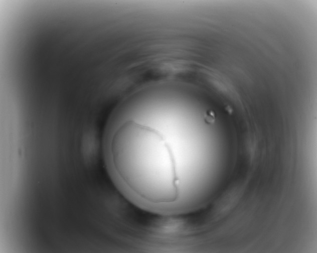 X0000088660328200706011244