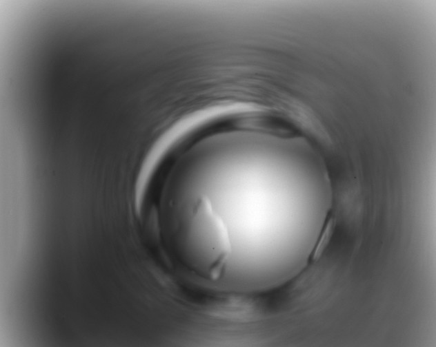 X0000088660329200706011244