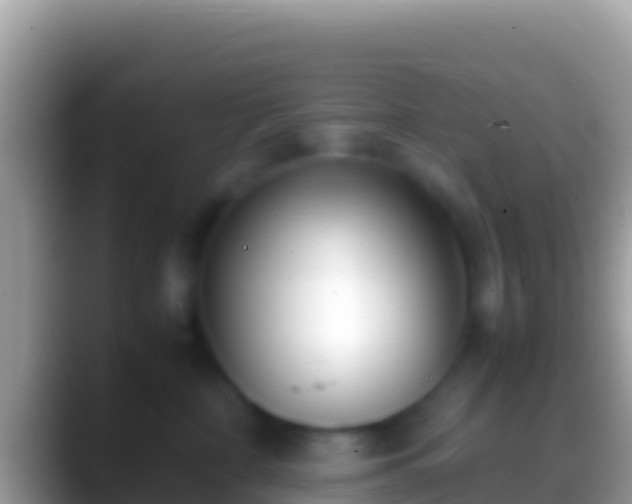 X0000088660332200706011244