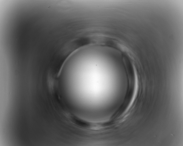 X0000088660333200706011244