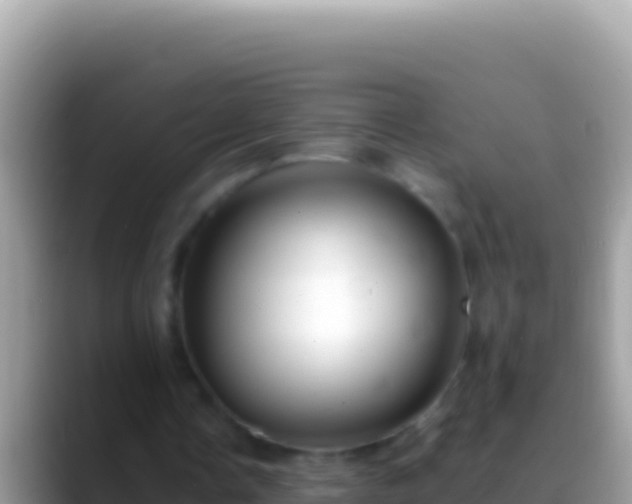 X0000088660338200706011243