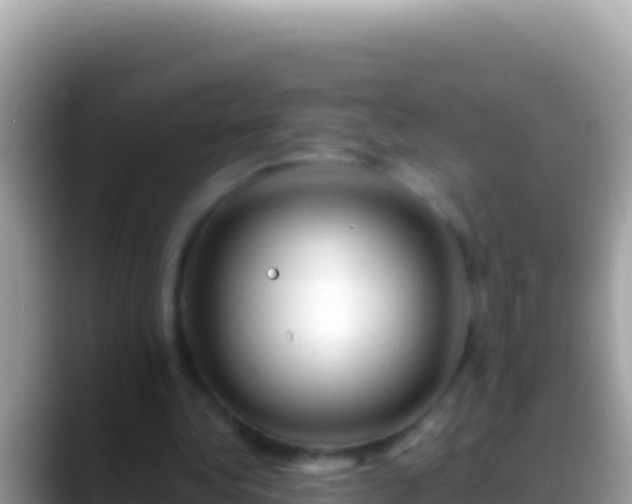 X0000088660340200706011244