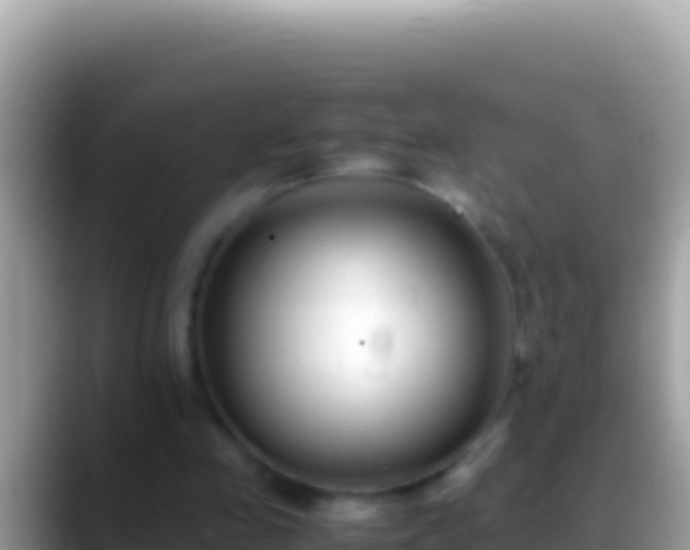 X0000088660341200706011244