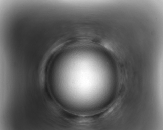 X0000088660343200706011244