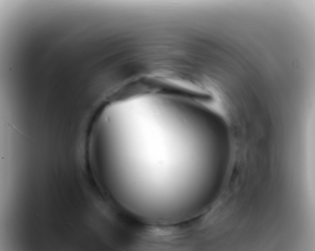 X0000088660346200706011244