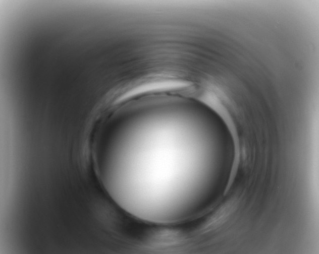 X0000088660348200706011244