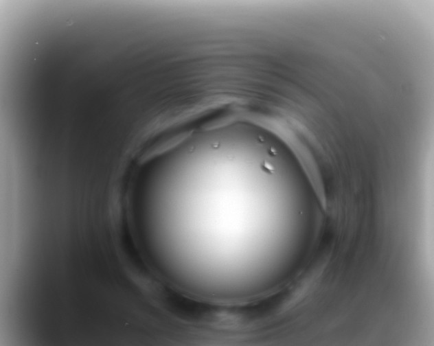 X0000088660352200706011244