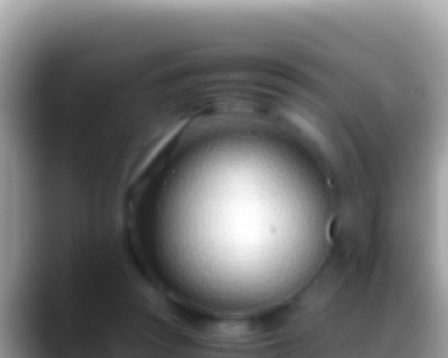 X0000088660353200706011244