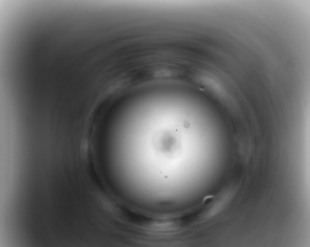 X0000088660357200706011244