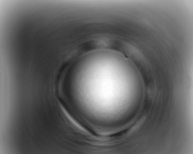 X0000088660359200706011244