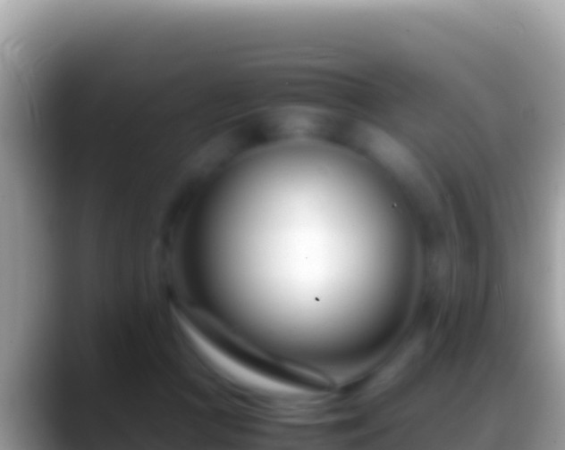 X0000088660361200706011244