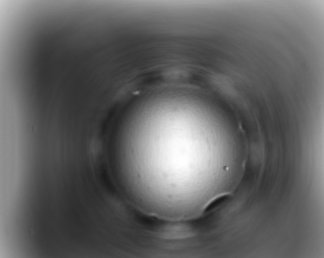 X0000088660375200706011244