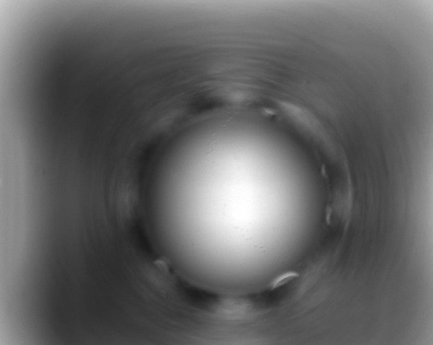 X0000088660376200706011244