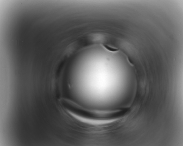 X0000088660379200706011244